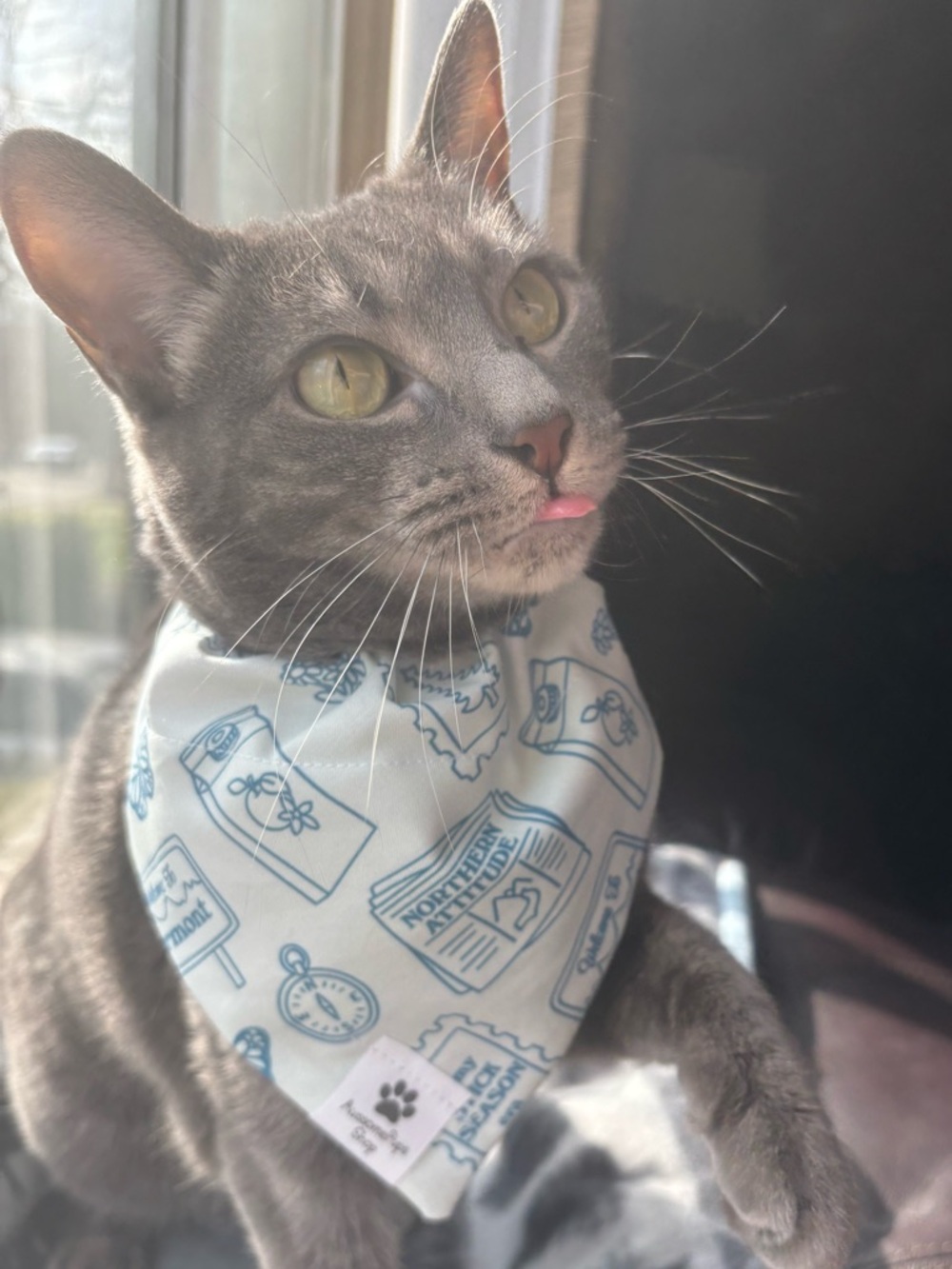 Meet your Posher, Shyann